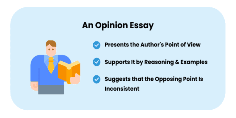 opinion essay